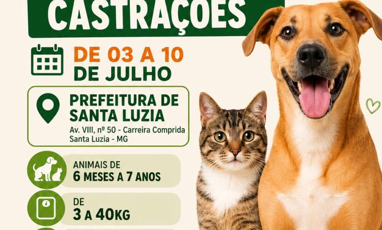 Mutirão de castração gratuita abre inscrições para 1.000 cães e gatos em Santa Luzia 8 WhatsApp Image 2026 06 30 at 13.28.32